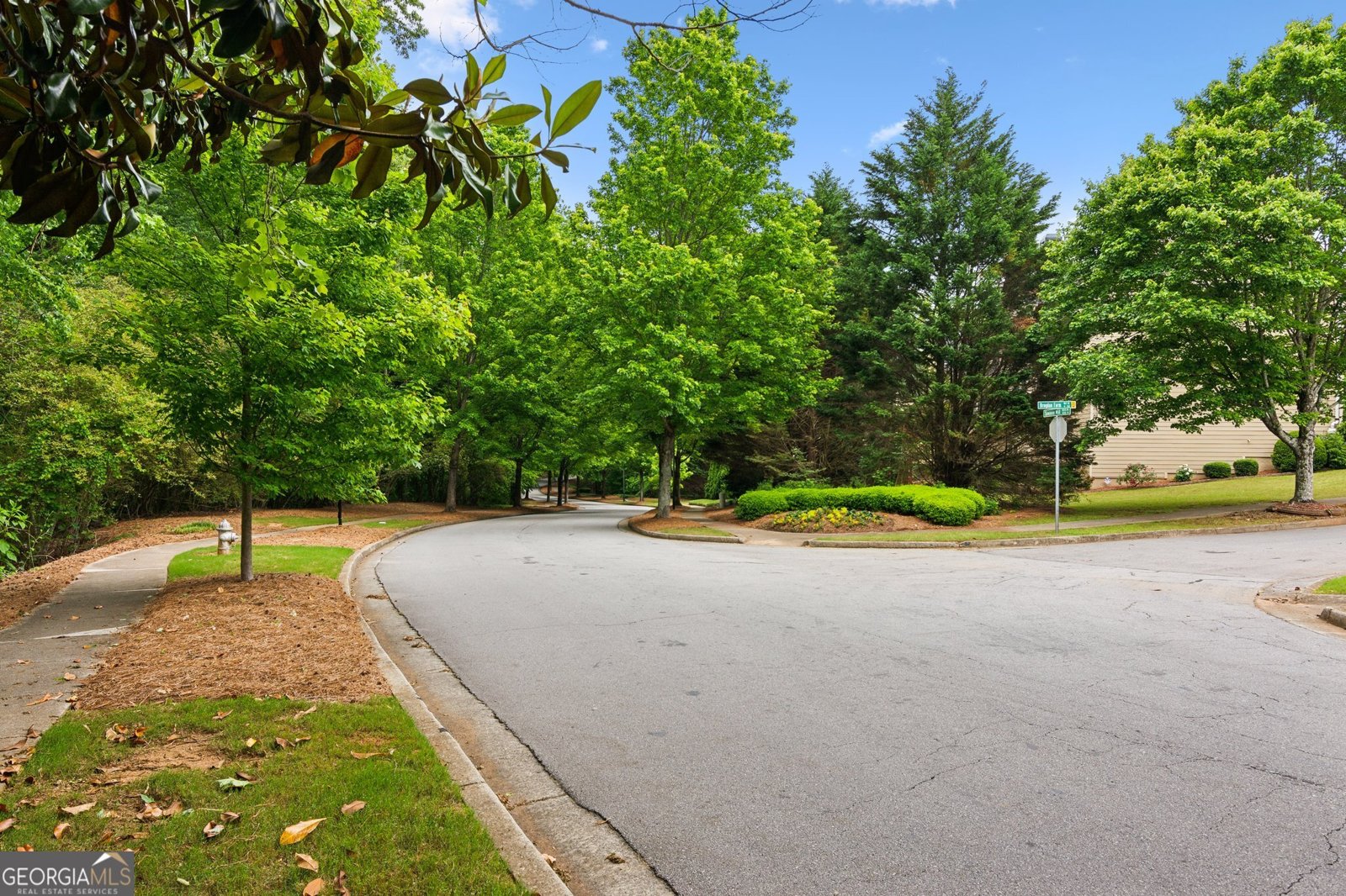 4092 Suwanee Mill Drive Buford - Photo 42