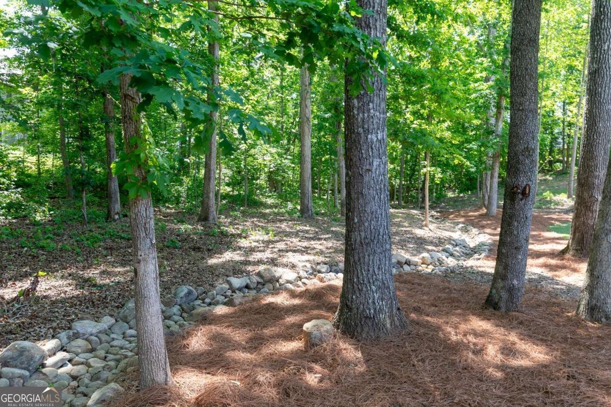 601 Hanover Drive Villa Rica - Photo 52