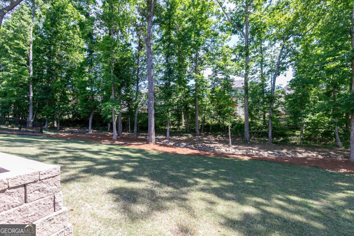 601 Hanover Drive Villa Rica - Photo 54