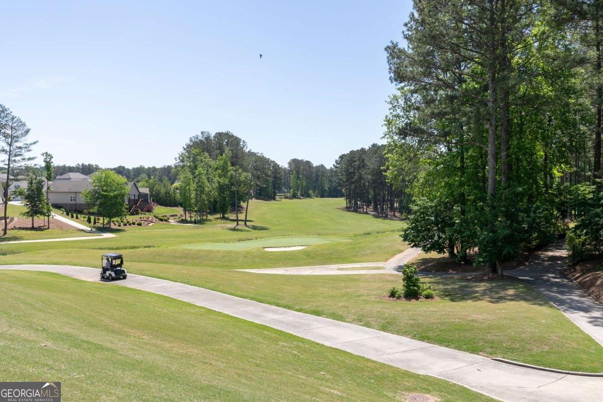601 Hanover Drive Villa Rica - Photo 68