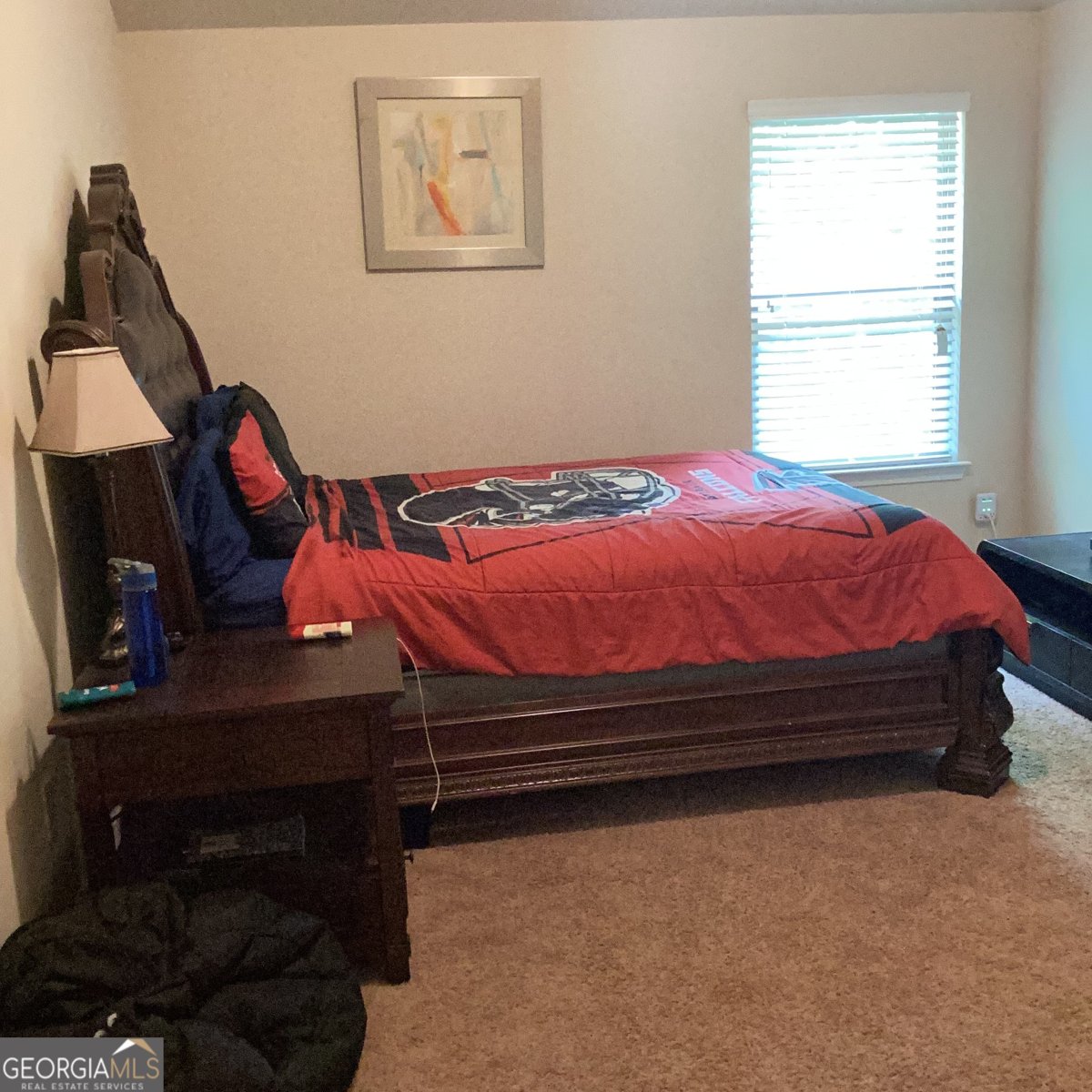 4206 FLAT ROCK Drive Lithonia - Photo 47