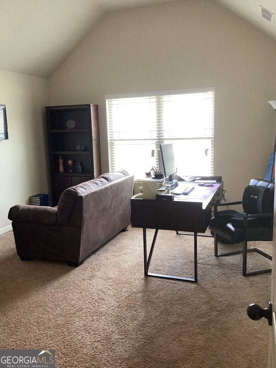 4206 FLAT ROCK Drive Lithonia - Photo 54