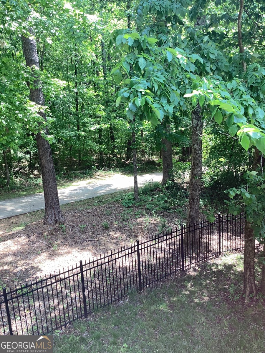 4206 FLAT ROCK Drive Lithonia - Photo 69