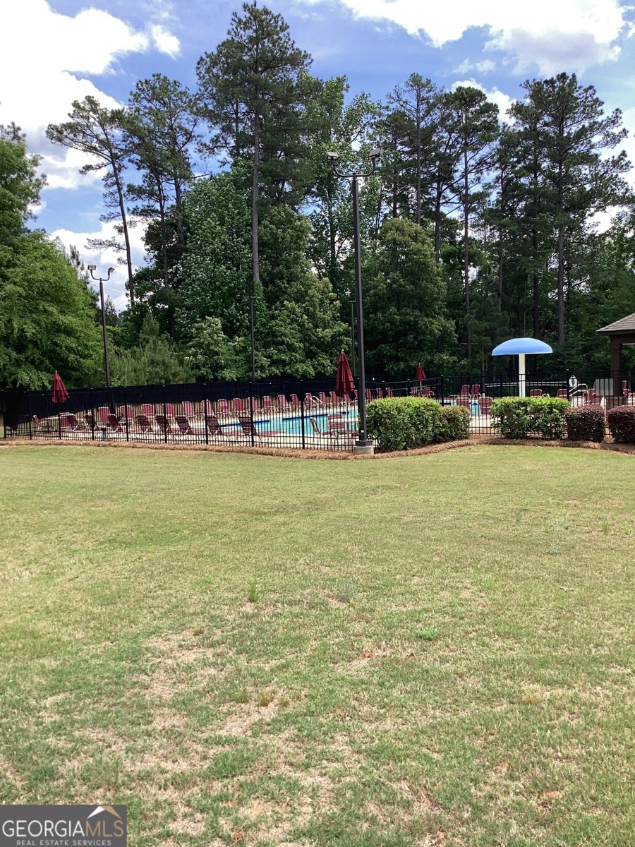 4206 FLAT ROCK Drive Lithonia - Photo 84