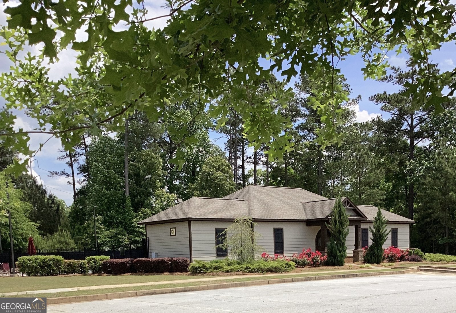 4206 FLAT ROCK Drive Lithonia - Photo 86