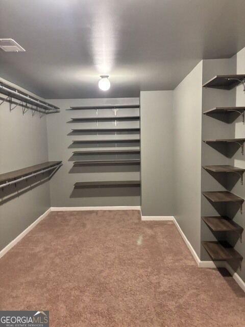 4206 FLAT ROCK Drive Lithonia - Photo 88