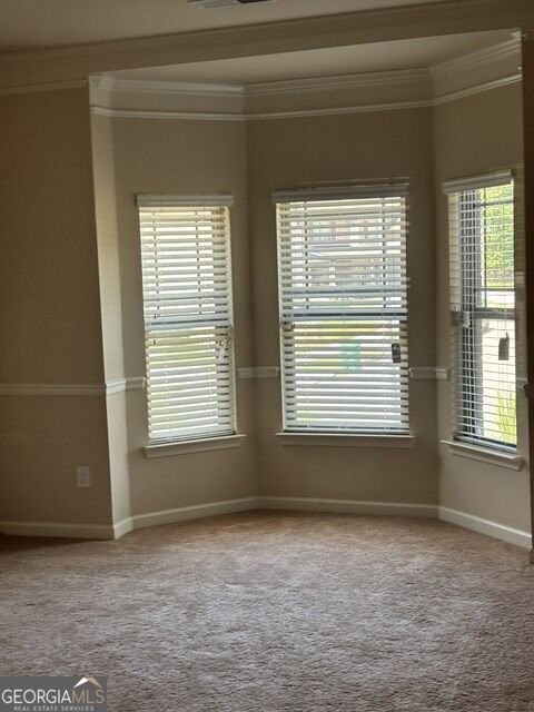 4206 FLAT ROCK Drive Lithonia - Photo 89