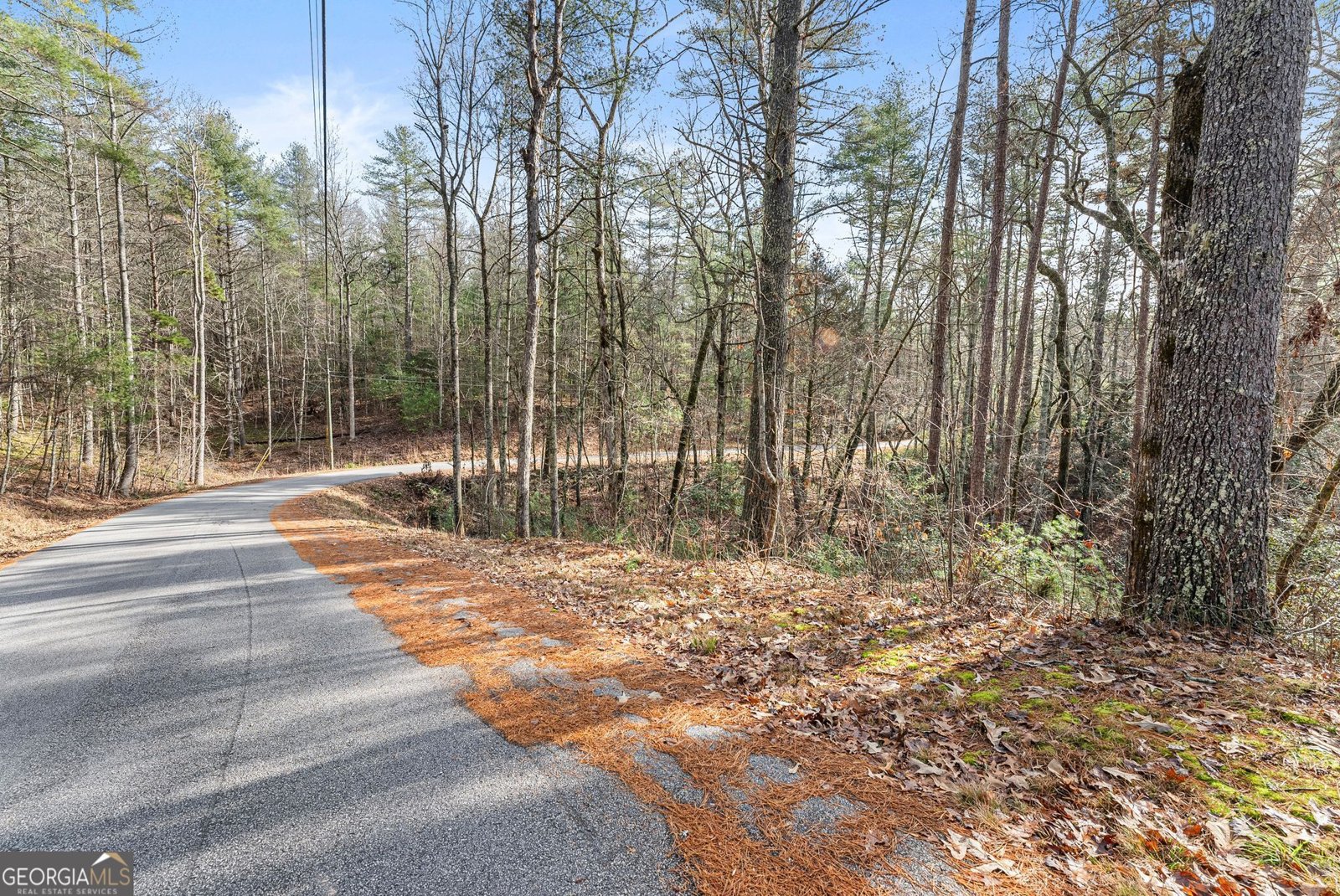 1036 Soque Wilderness Road Clarkesville - Photo 12