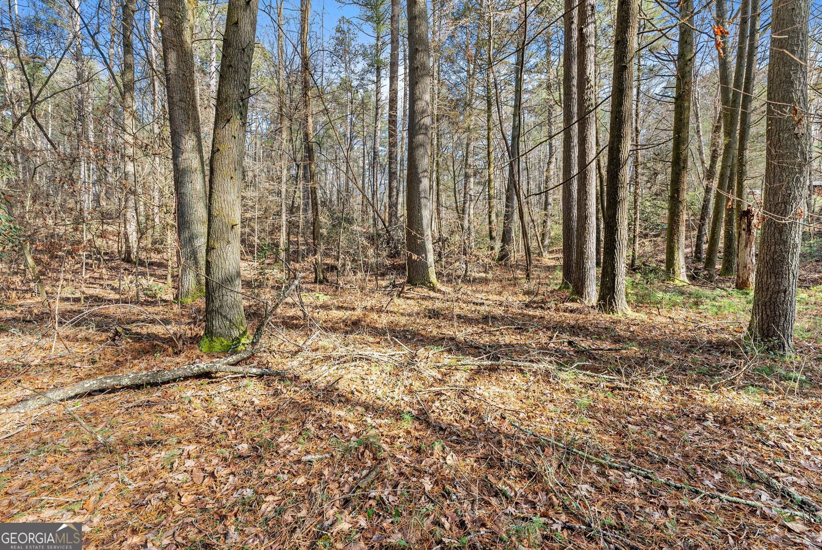 1036 Soque Wilderness Road Clarkesville - Photo 13