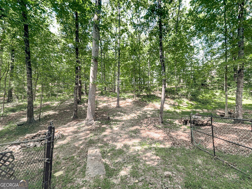 6911 Beechwood Drive Acworth - Photo 32