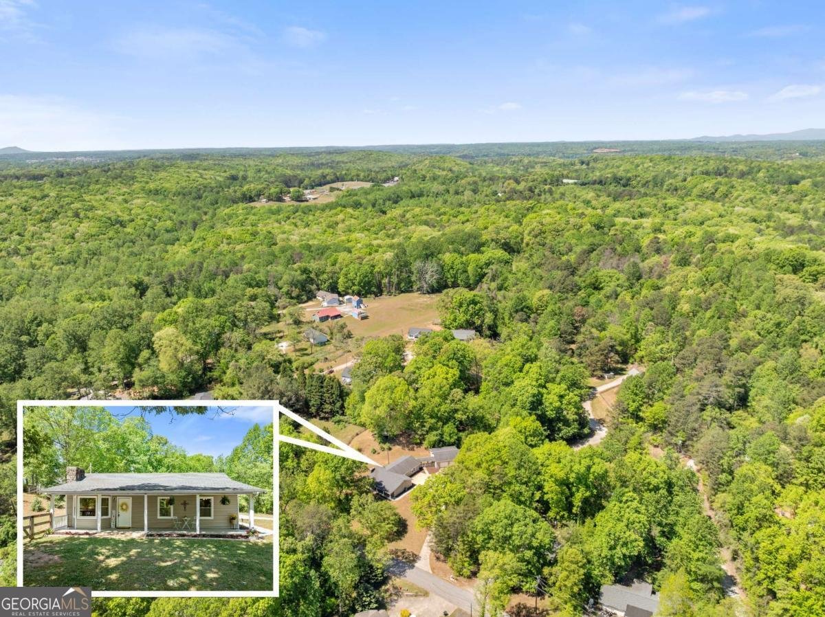 176 Moss Road Dawsonville - Photo 12