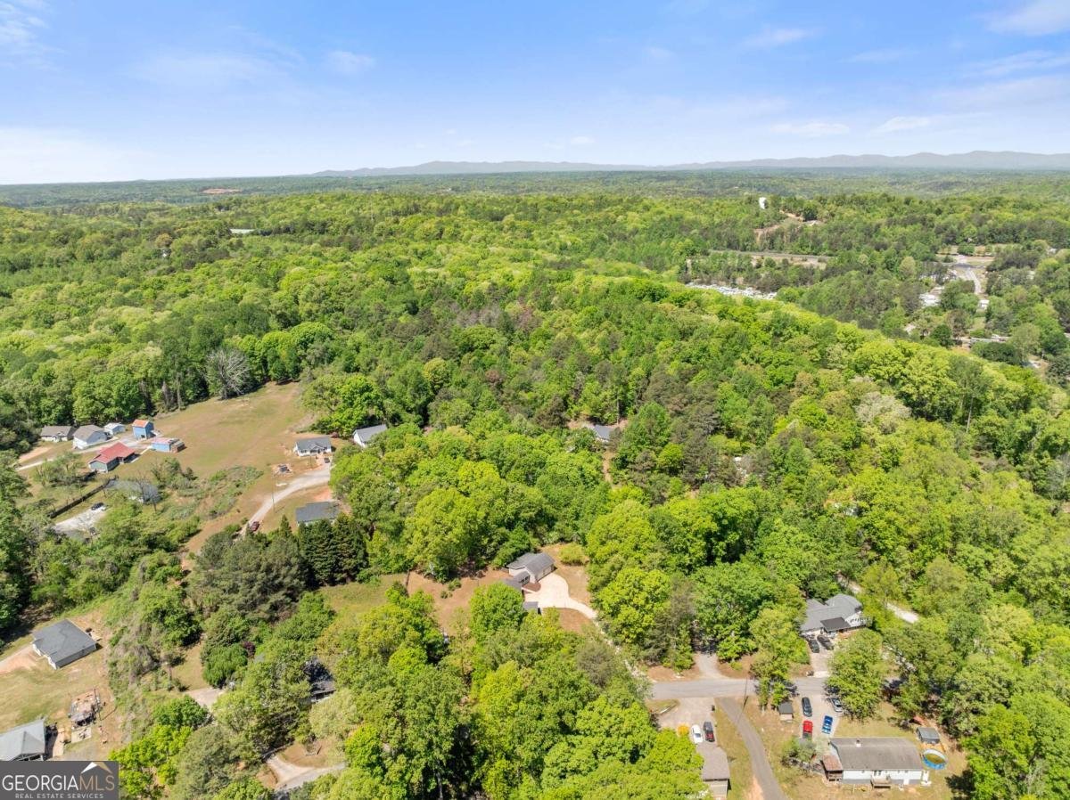 176 Moss Road Dawsonville - Photo 57
