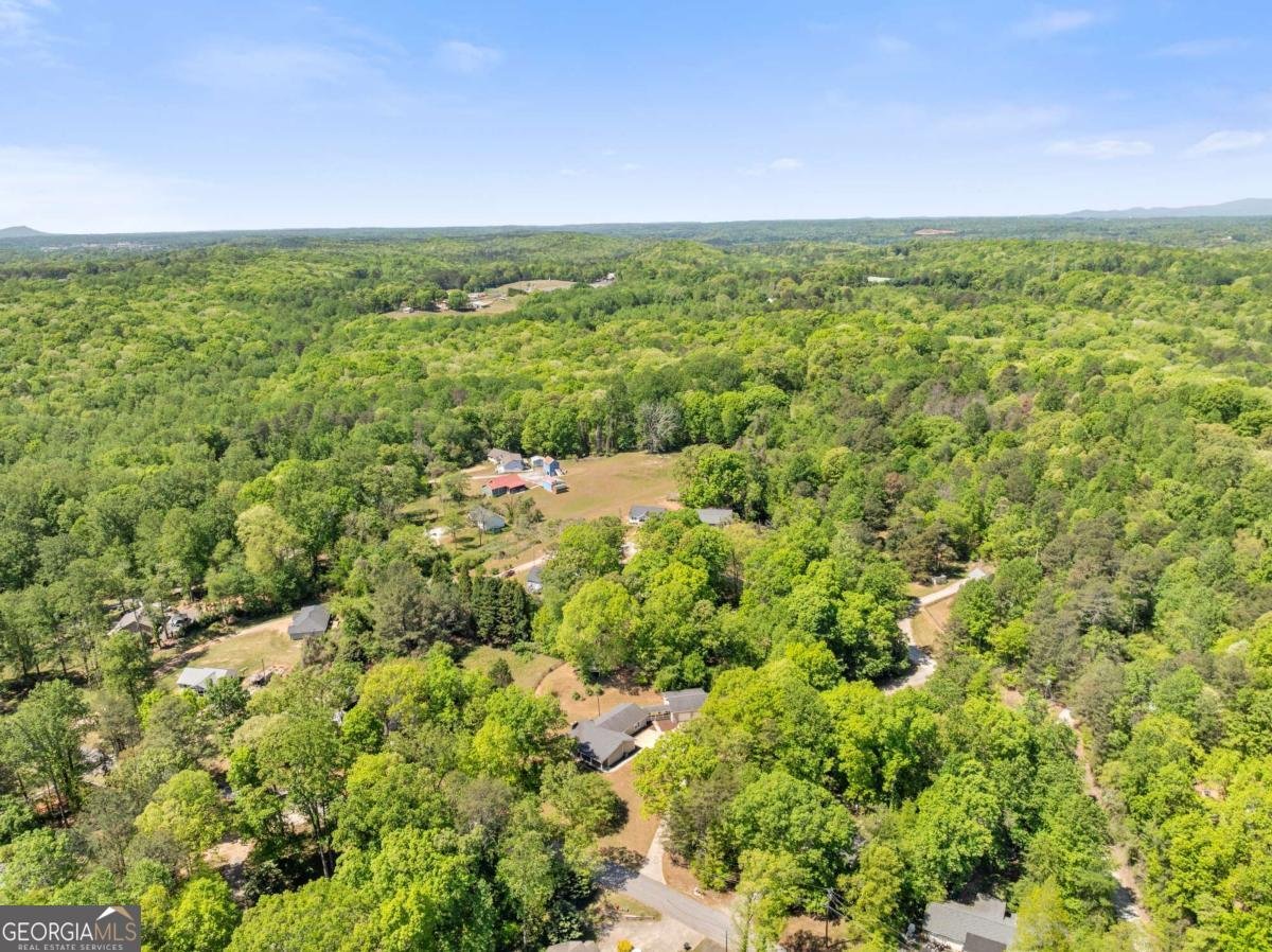 176 Moss Road Dawsonville - Photo 58