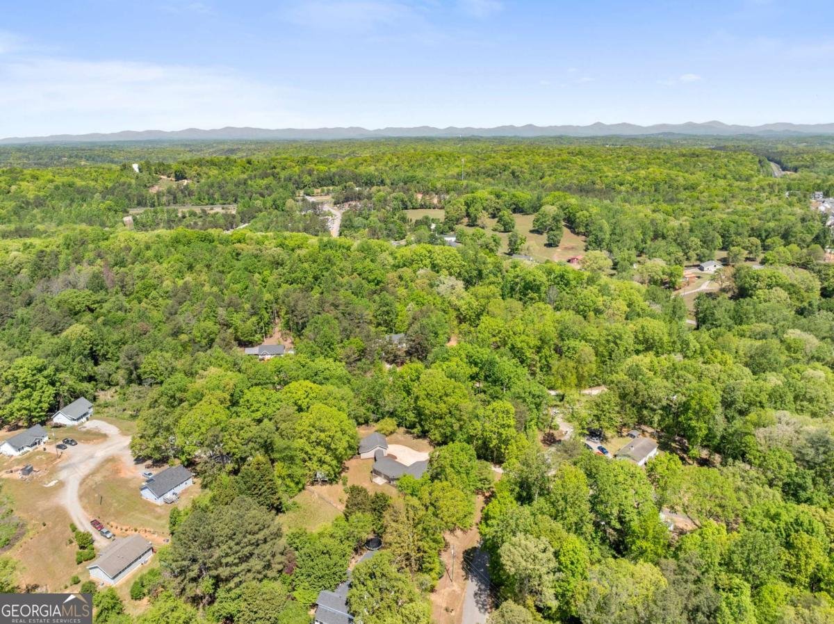 176 Moss Road Dawsonville - Photo 59