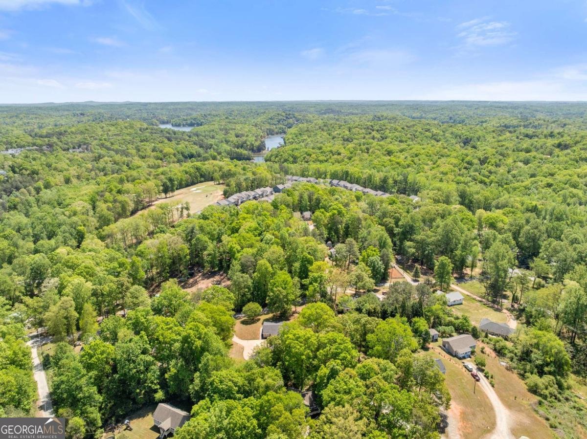 176 Moss Road Dawsonville - Photo 60