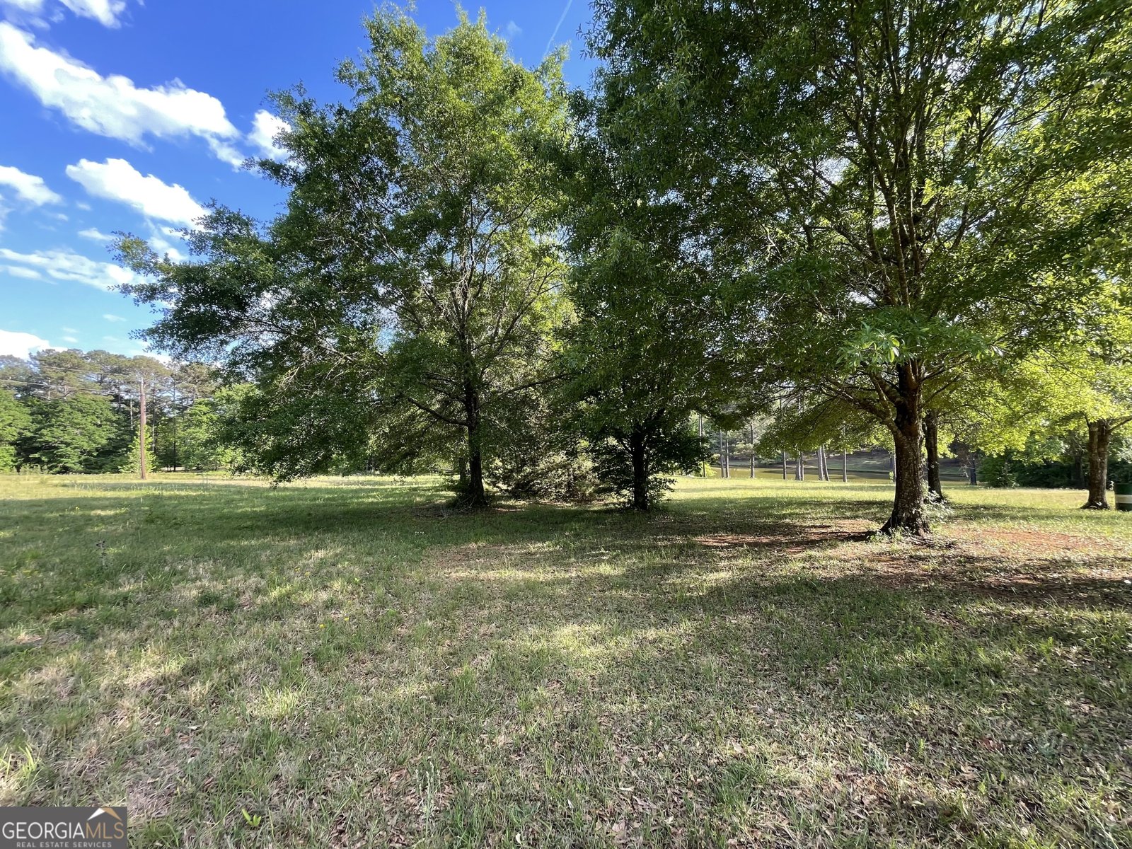 541 Pine Grove Church Road Culloden - Photo 17