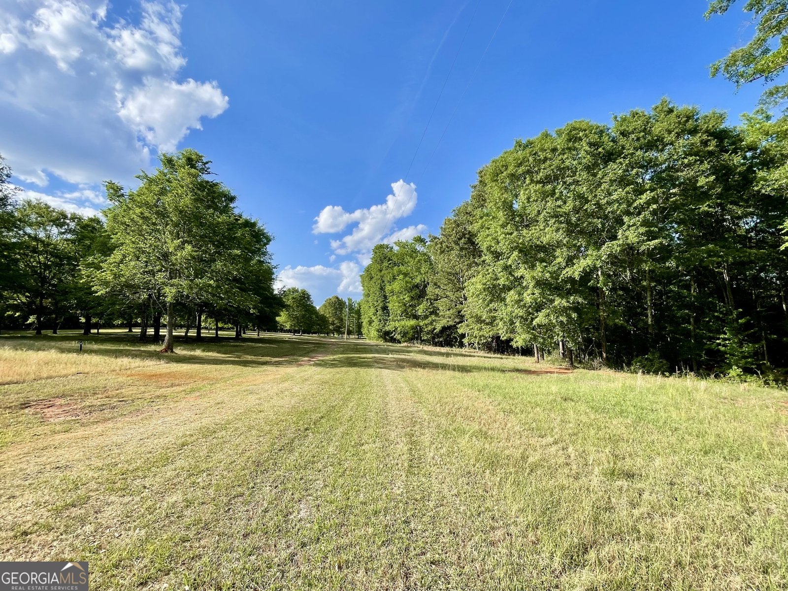 541 Pine Grove Church Road Culloden - Photo 19
