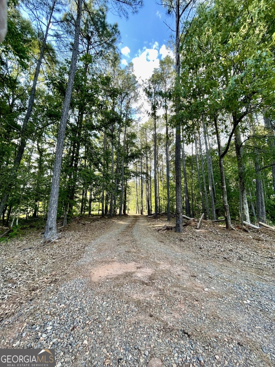 541 Pine Grove Church Road Culloden - Photo 22