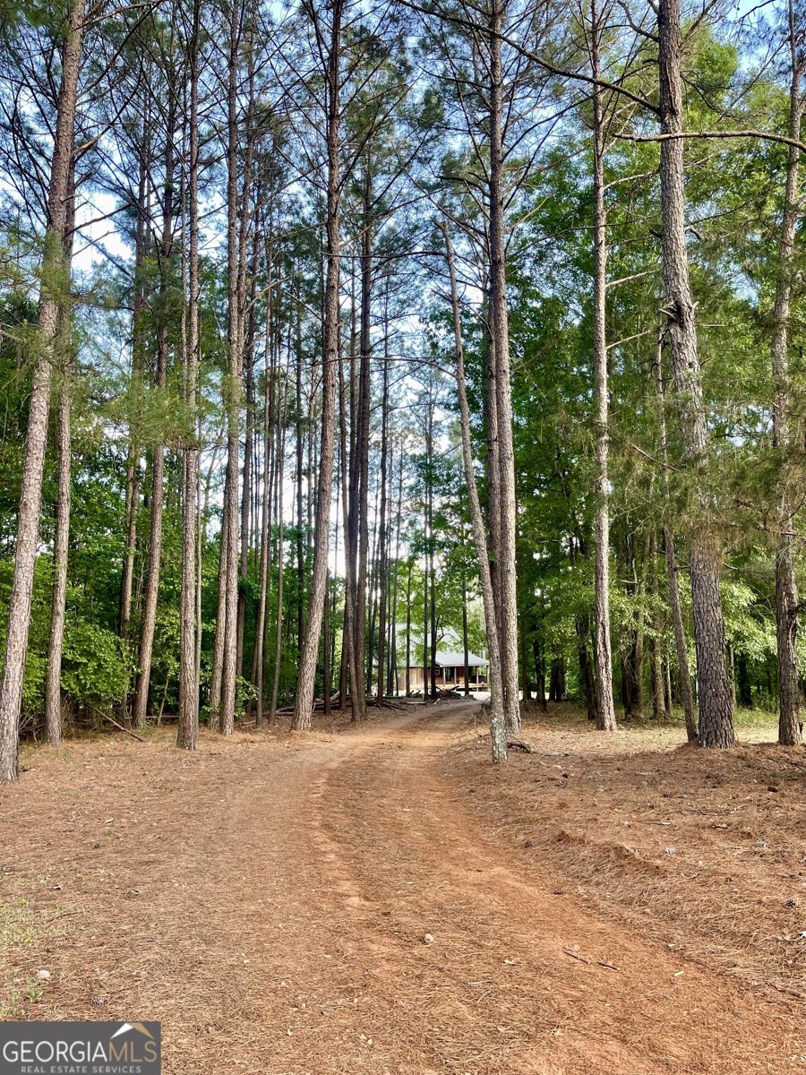541 Pine Grove Church Road Culloden - Photo 24