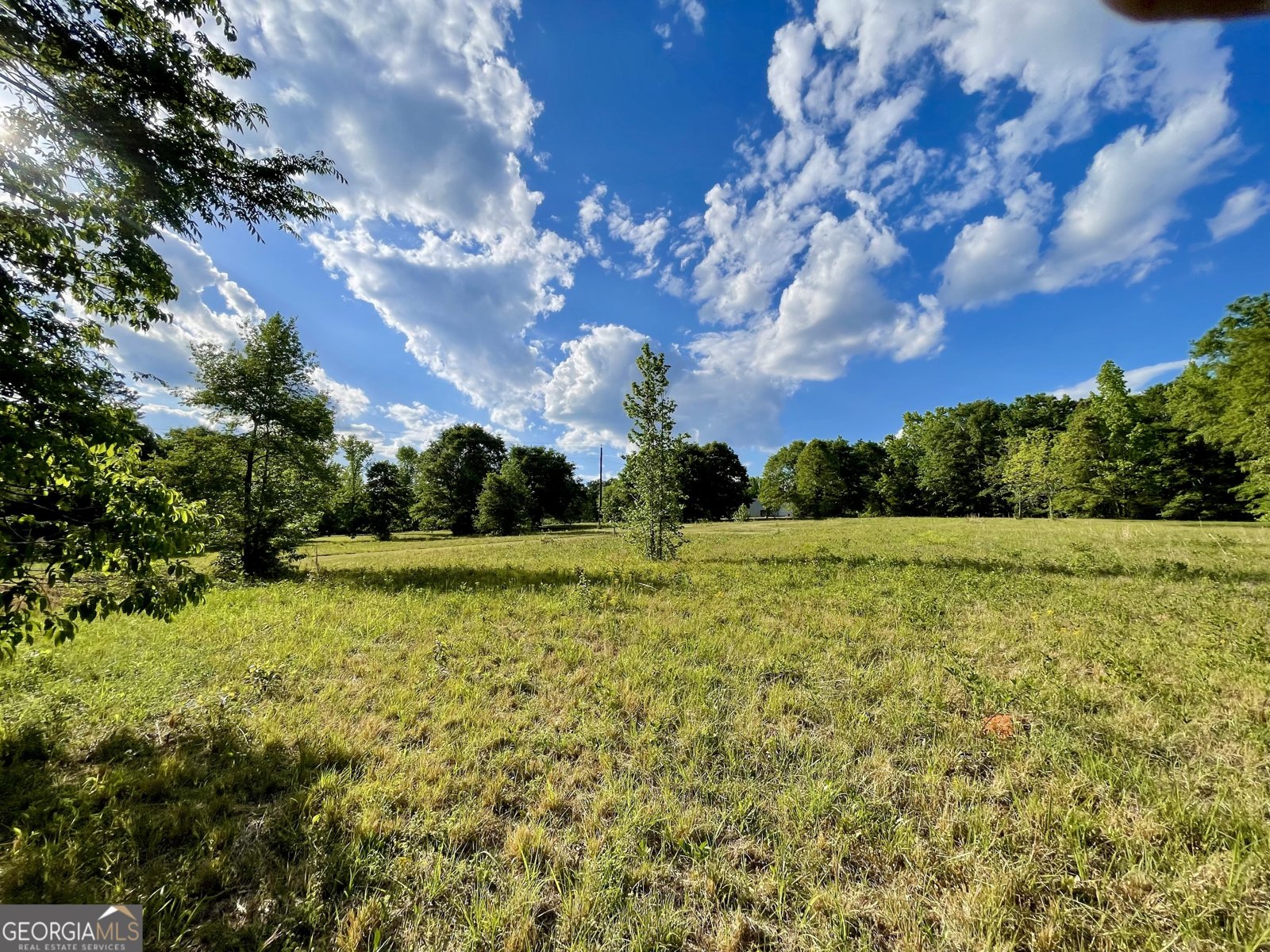 541 Pine Grove Church Road Culloden - Photo 52