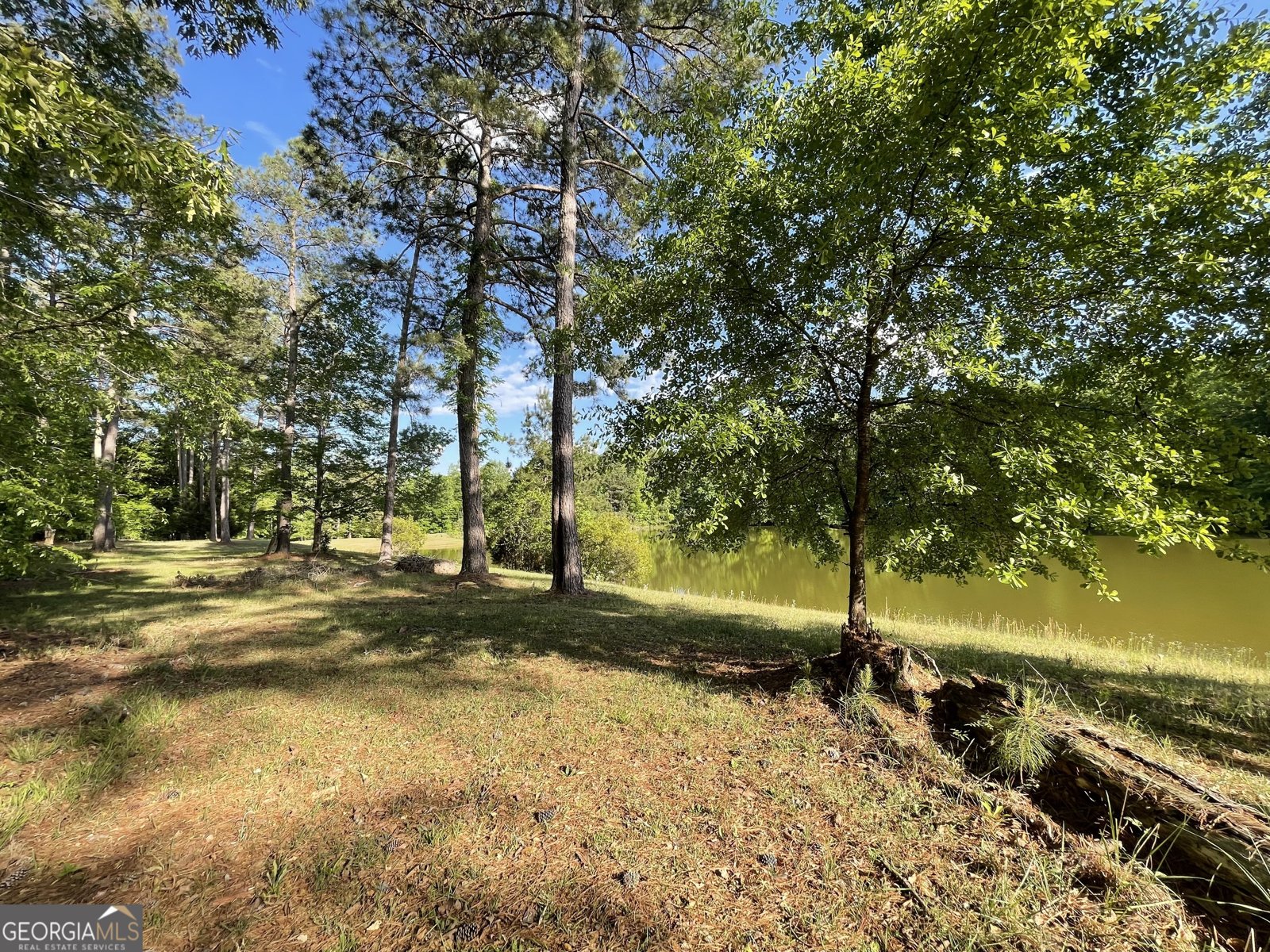 541 Pine Grove Church Road Culloden - Photo 55