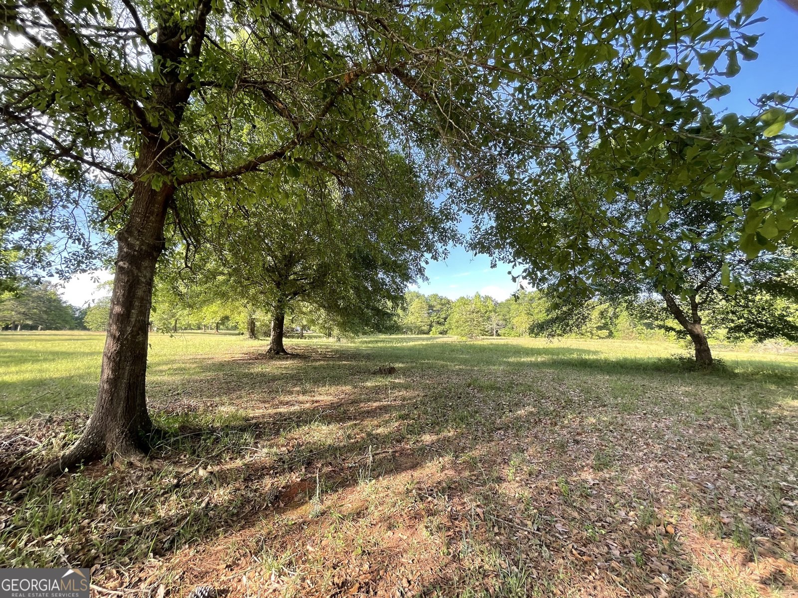 541 Pine Grove Church Road Culloden - Photo 56