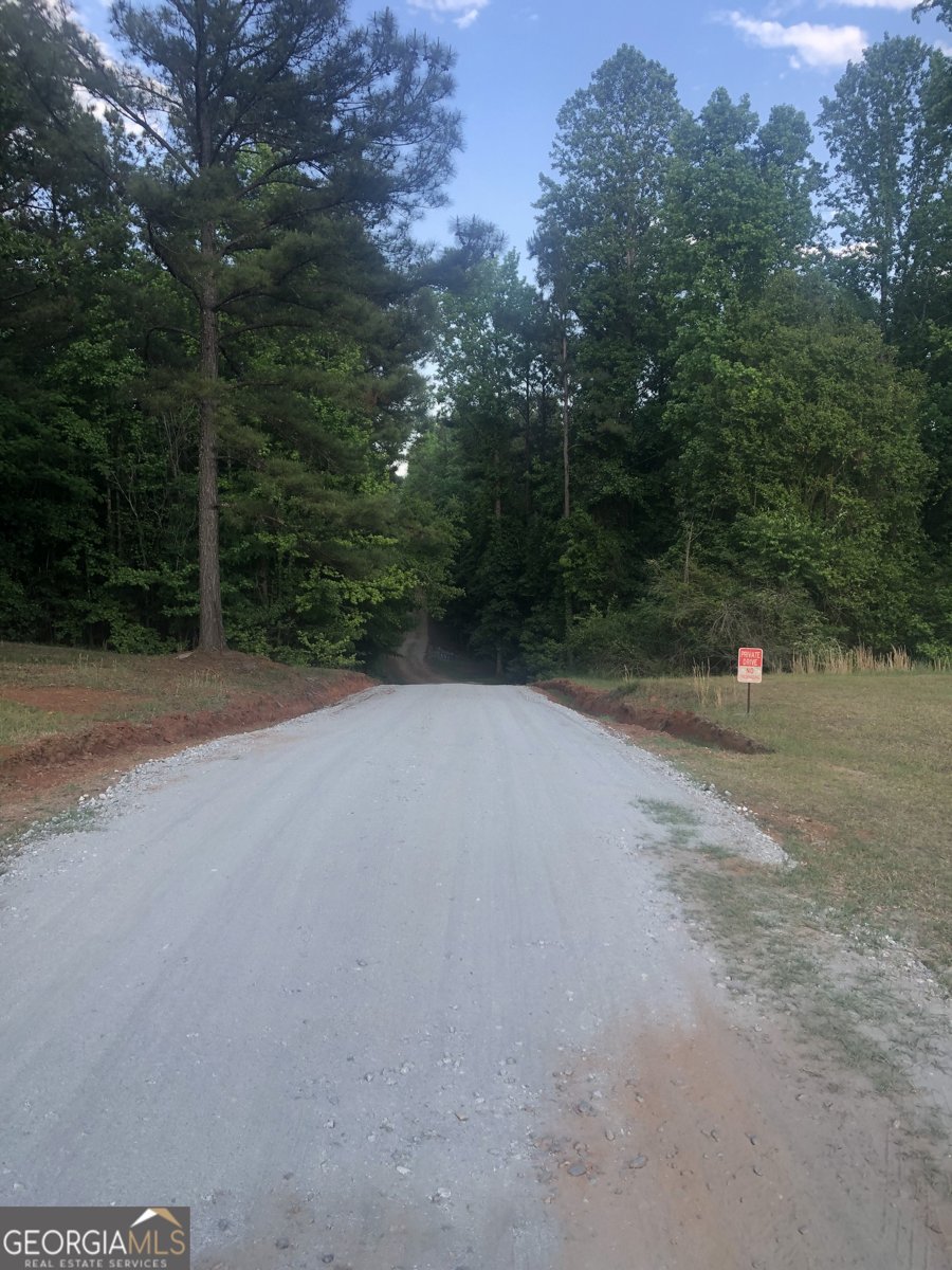 541 Pine Grove Church Road Culloden - Photo 59