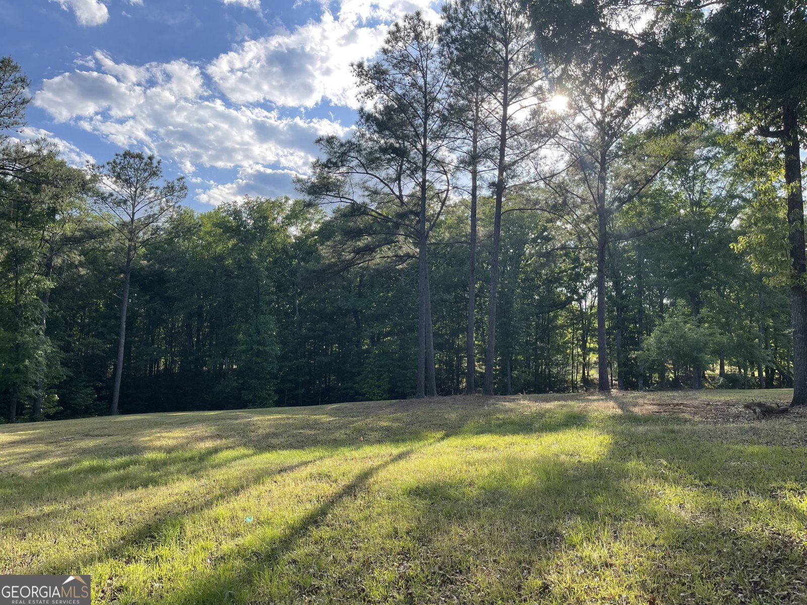 541 Pine Grove Church Road Culloden - Photo 62