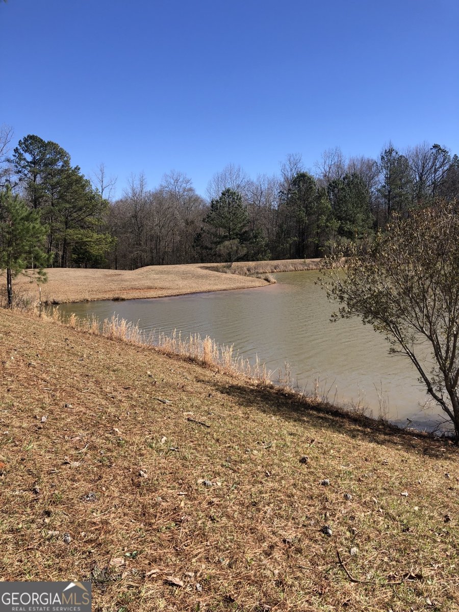541 Pine Grove Church Road Culloden - Photo 72