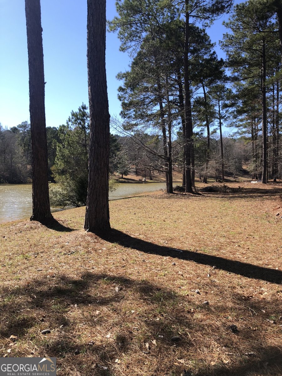 541 Pine Grove Church Road Culloden - Photo 73
