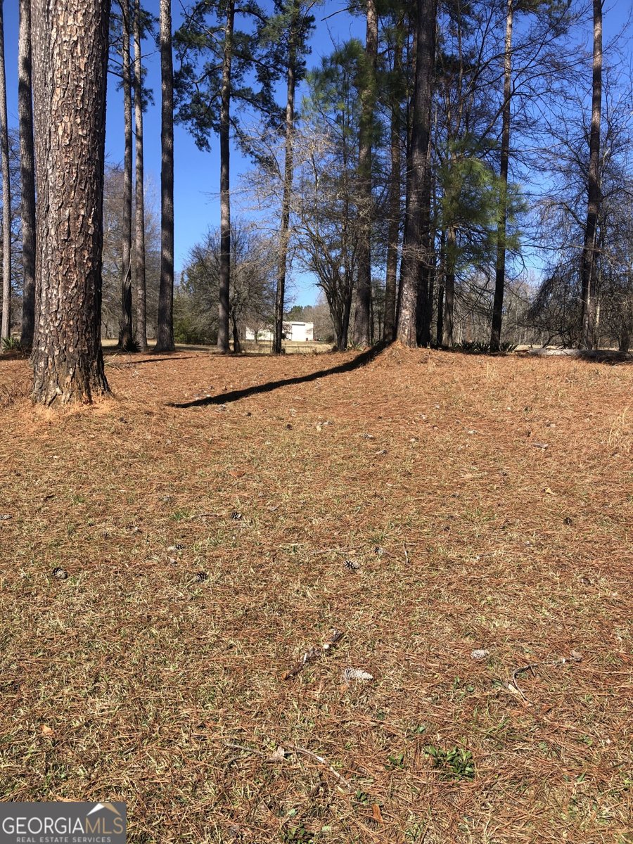 541 Pine Grove Church Road Culloden - Photo 75