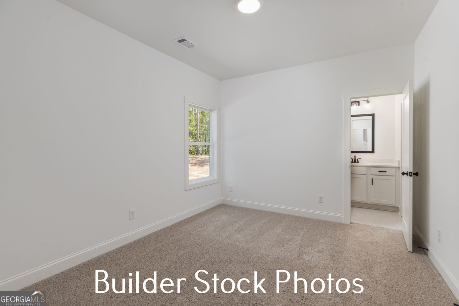 LOT 24 Millie Trail Williamson - Photo 33