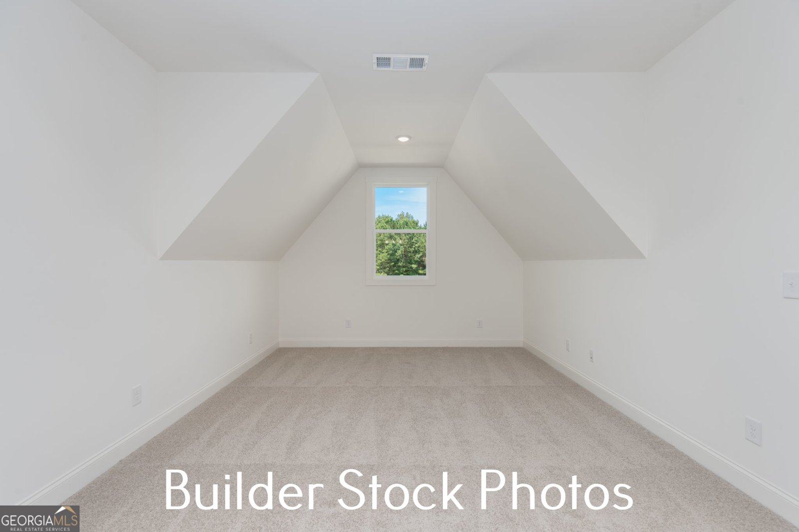 LOT 24 Millie Trail Williamson - Photo 38