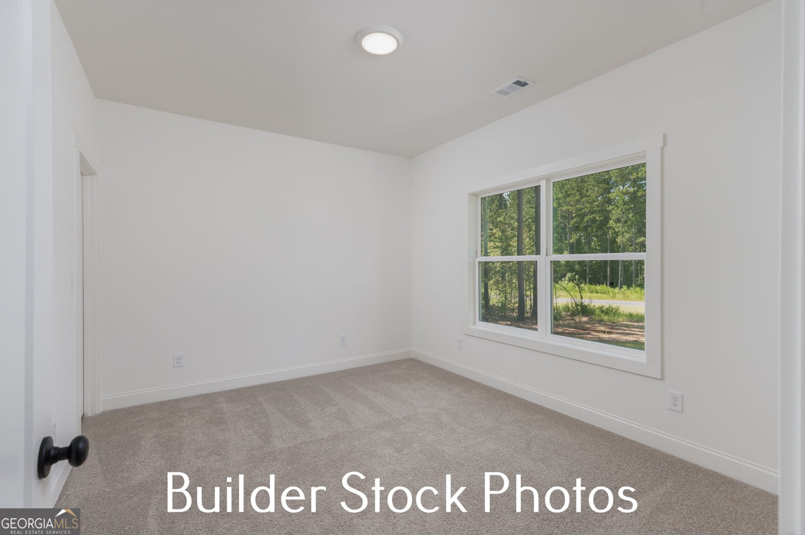 LOT 24 Millie Trail Williamson - Photo 40