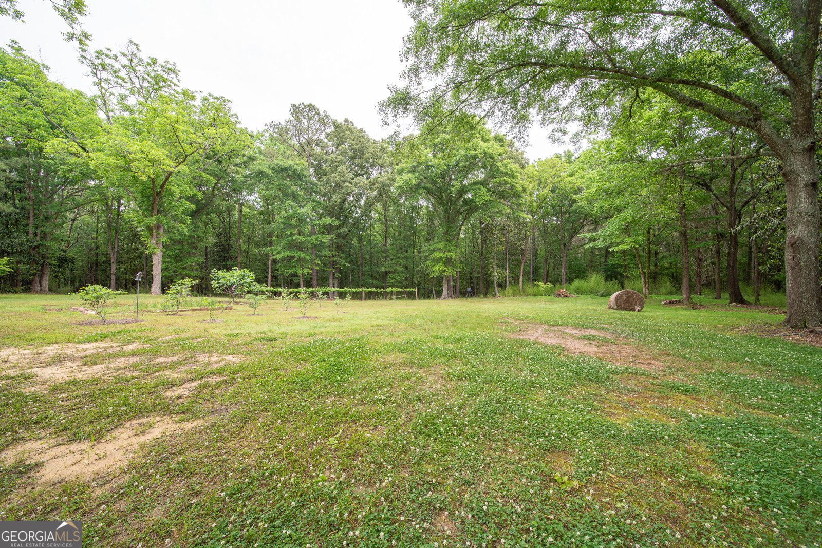 4200 GA Hwy 85 Manchester - Photo 51