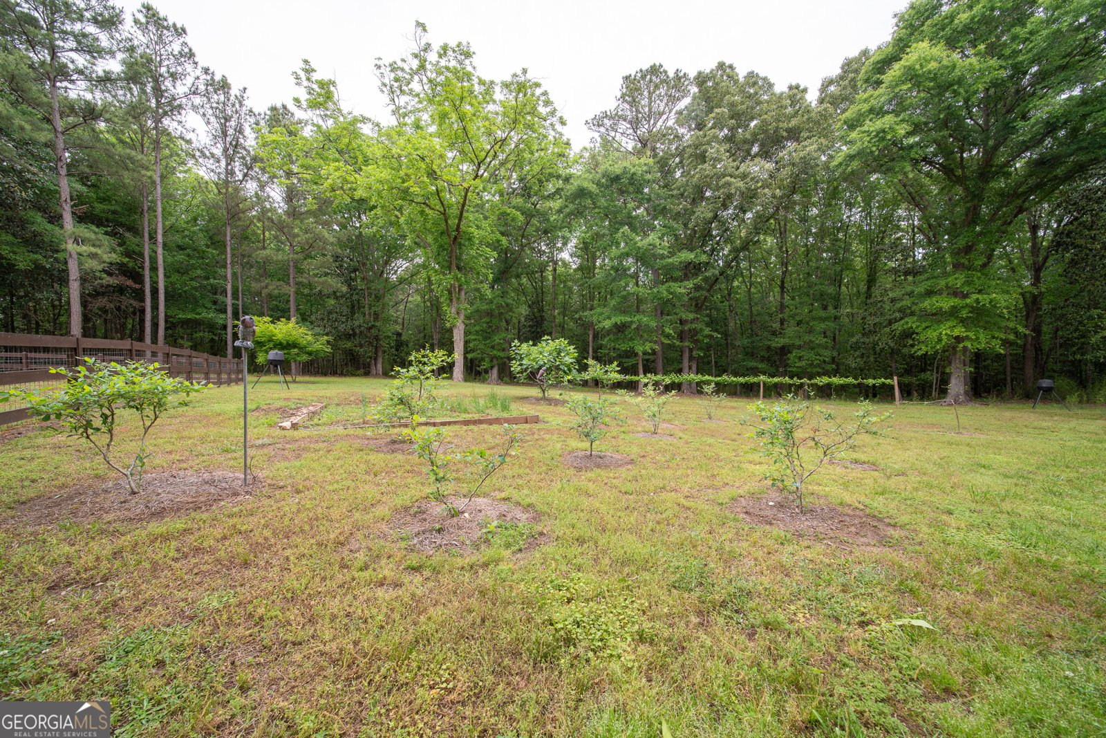 4200 GA Hwy 85 Manchester - Photo 52