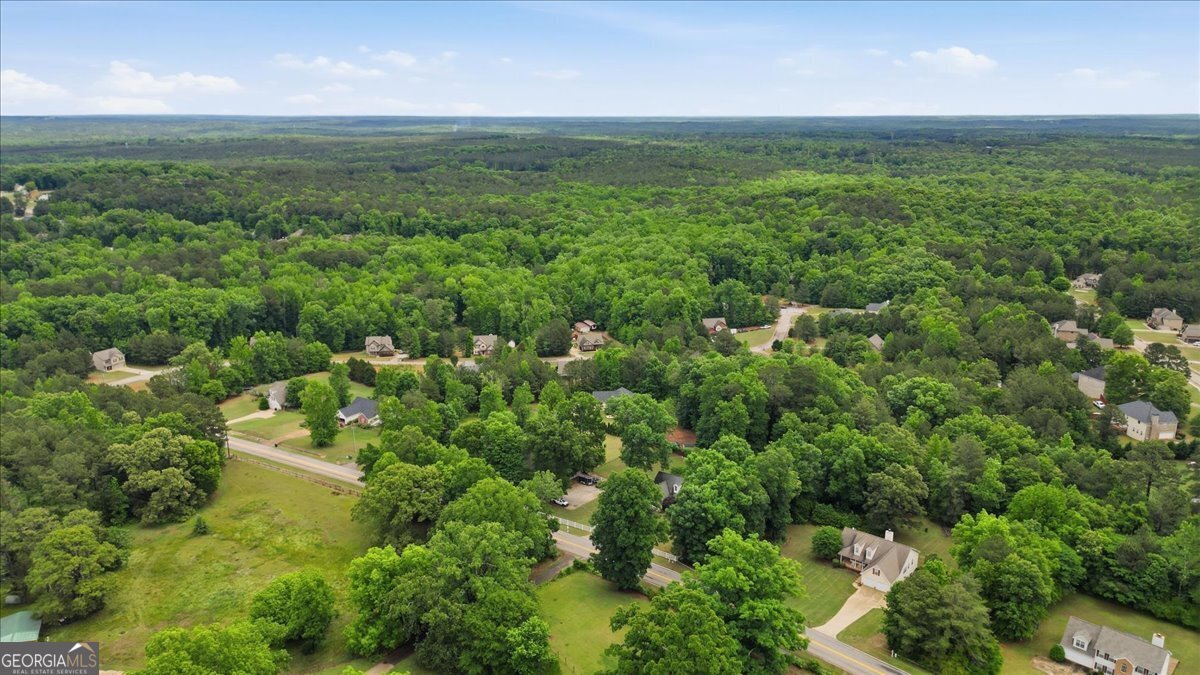 776 Wynn Road McDonough - Photo 57