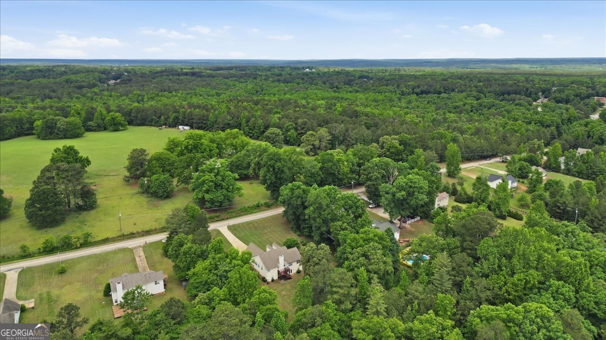 776 Wynn Road McDonough - Photo 59