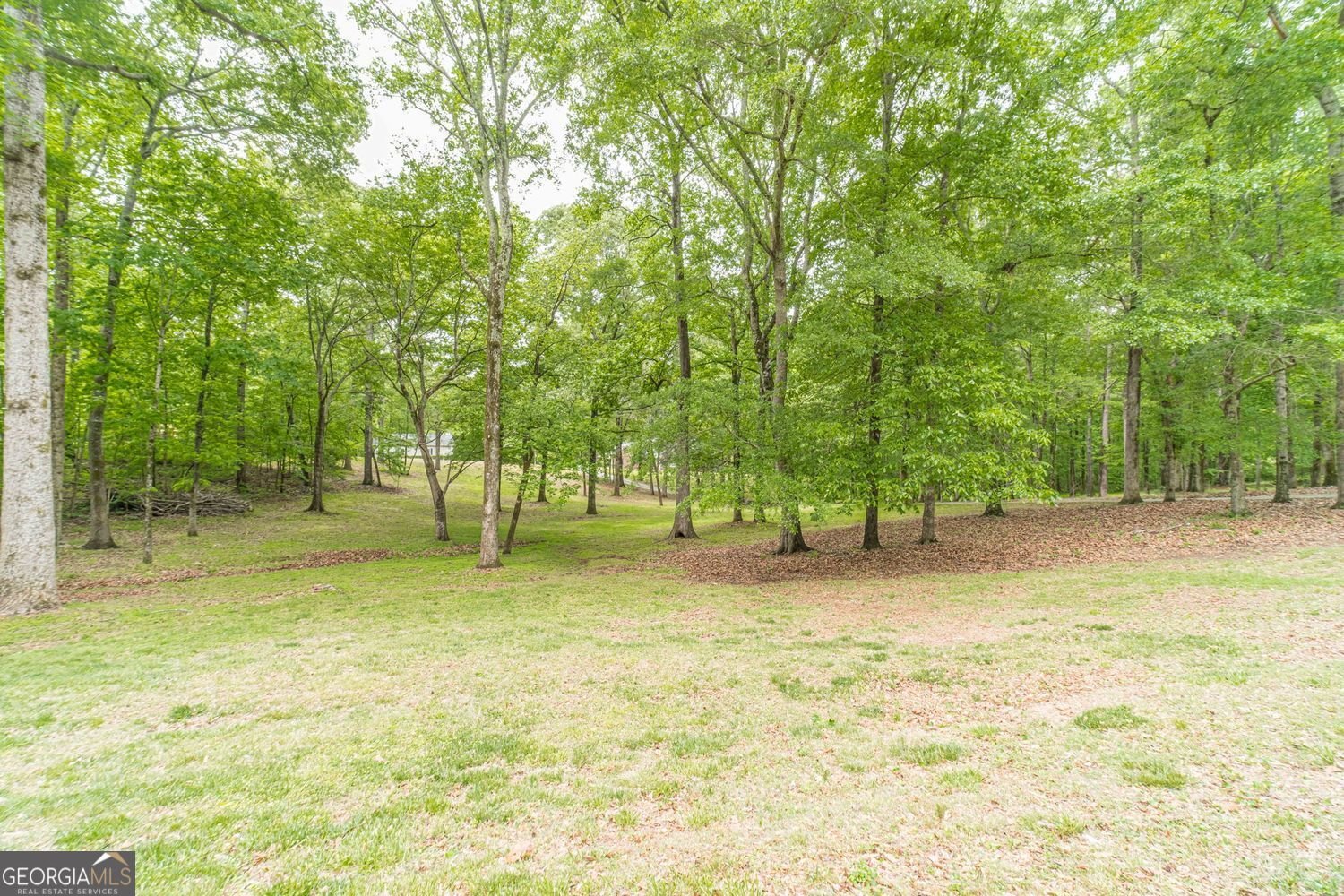 2291 Rabbit Farm Circle Loganville - Photo 60