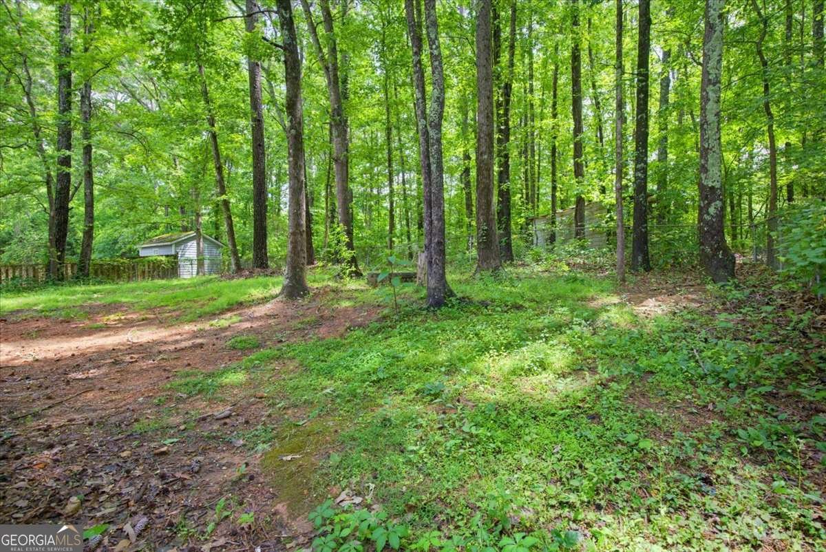 34 Bell Court Douglasville - Photo 31