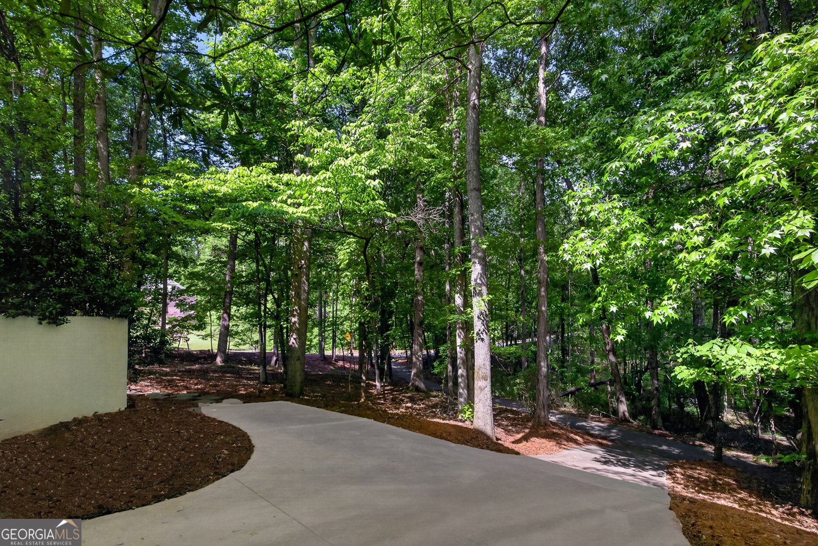 246 Smokerise Trace Peachtree City - Photo 101