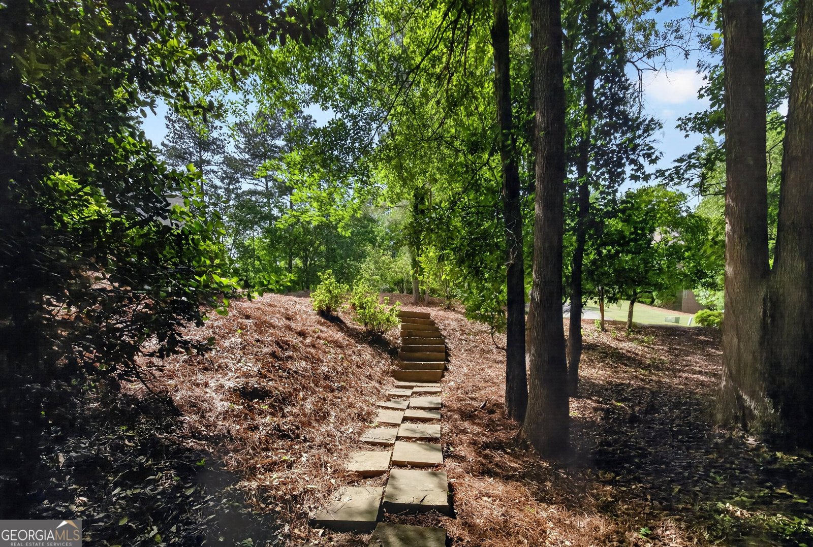 246 Smokerise Trace Peachtree City - Photo 102