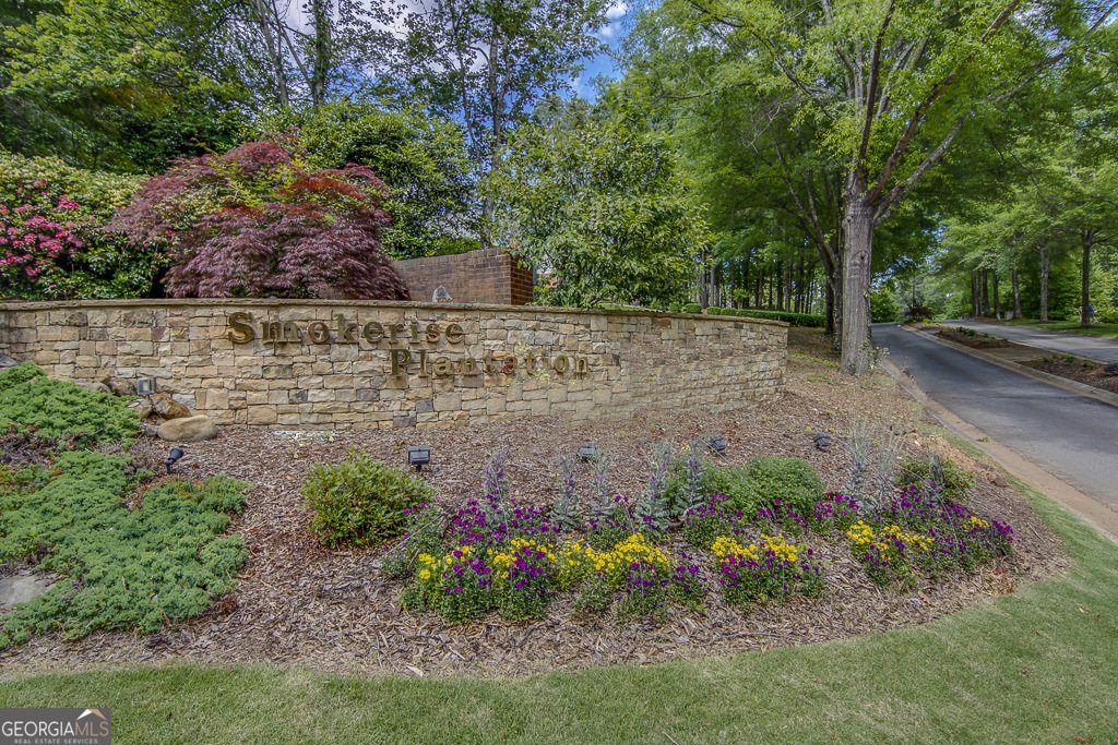 246 Smokerise Trace Peachtree City - Photo 107