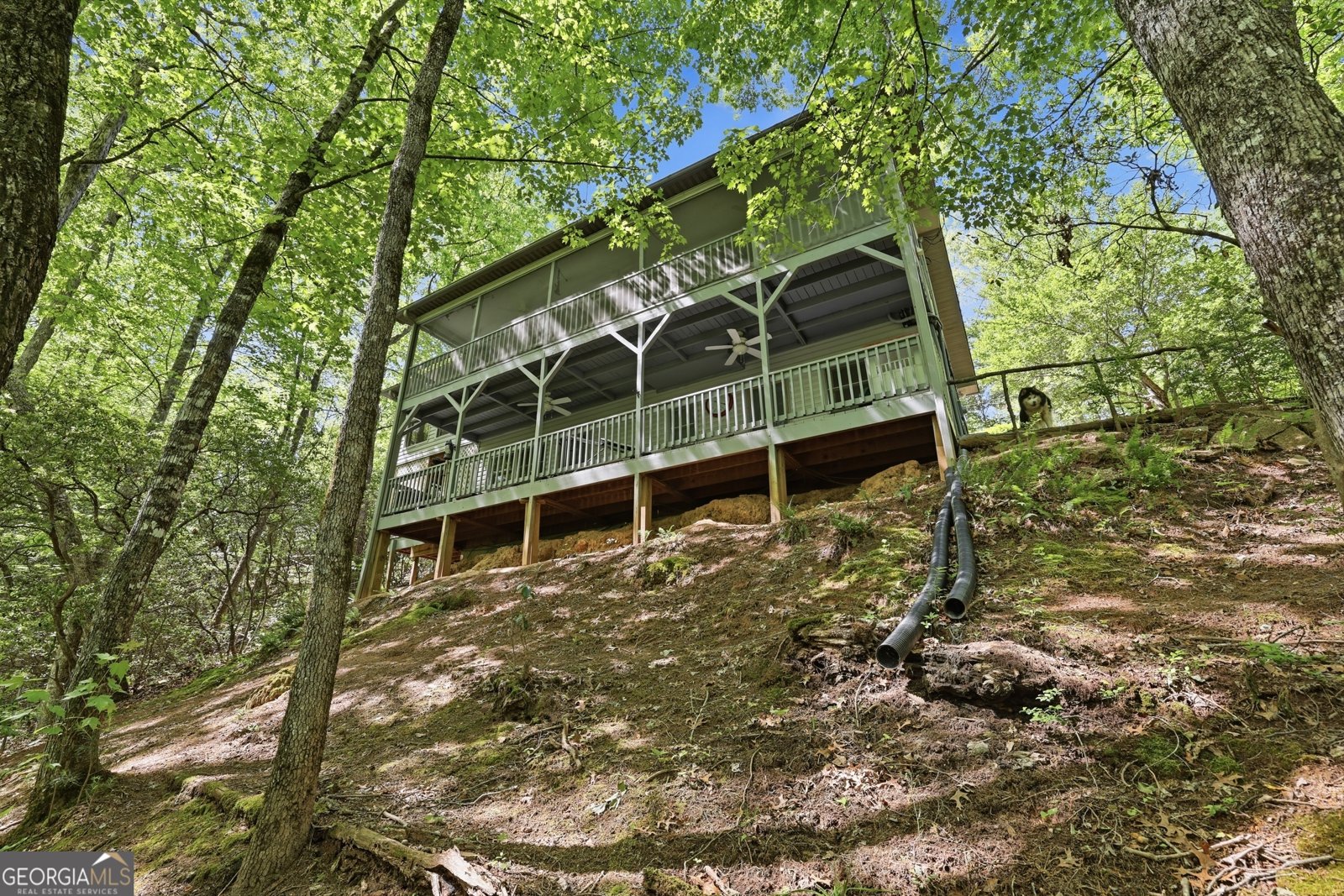 584 Battle Branch Vistas Drive Franklin - Photo 39
