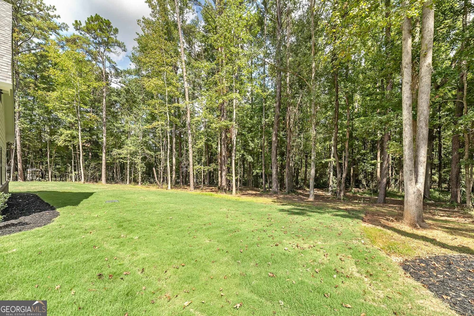 164 Henderson Mill Mansfield - Photo 61