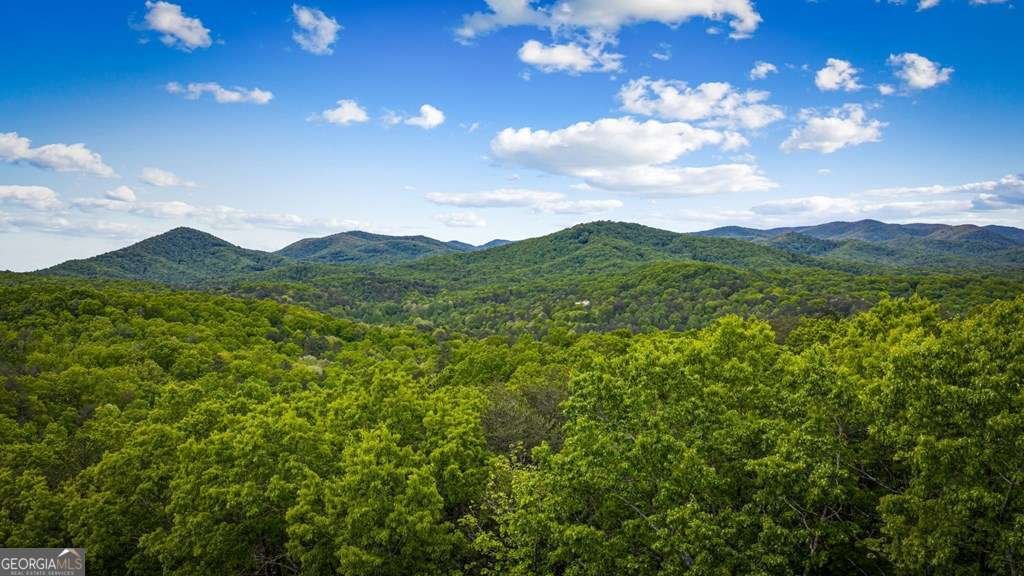 458 Sugar Mountain Road Blue Ridge - Photo 62