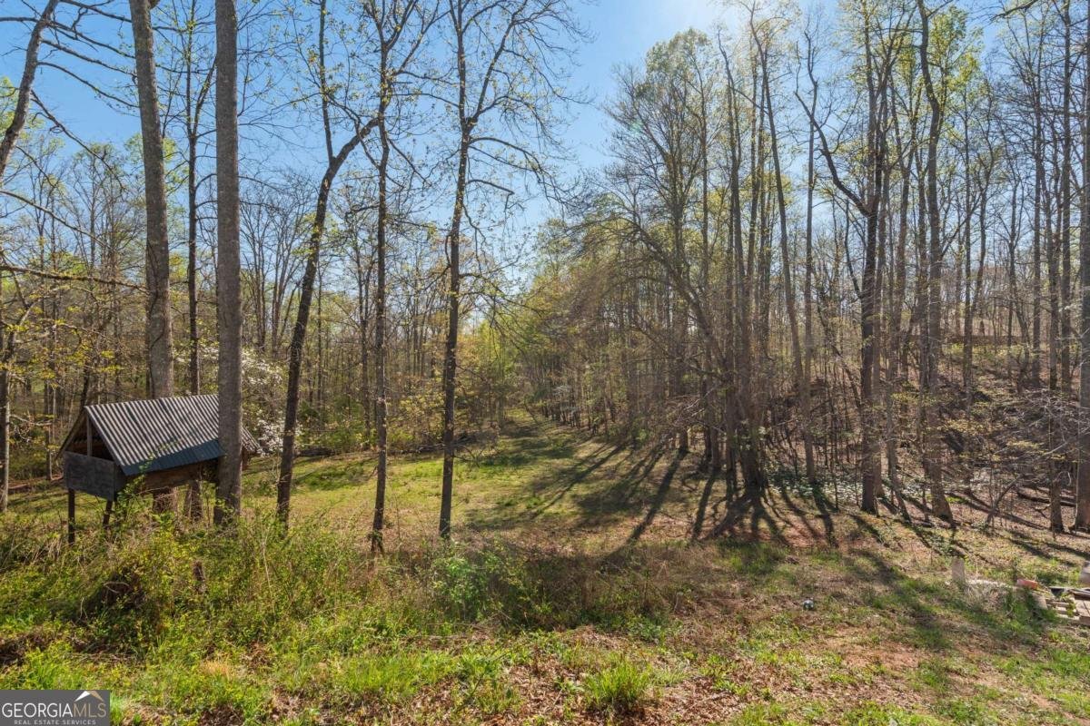 47 Meadow Brooke Court Young Harris - Photo 48