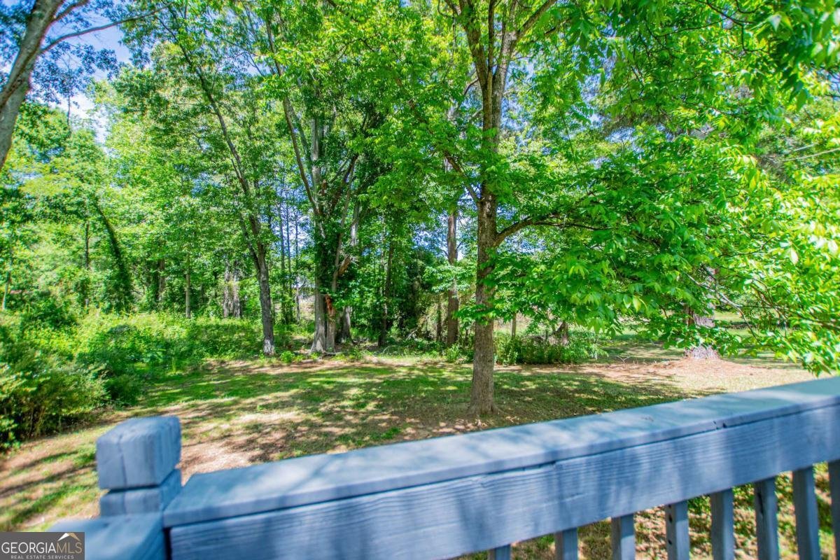 801 Bowdon Tyus Road Bowdon - Photo 44