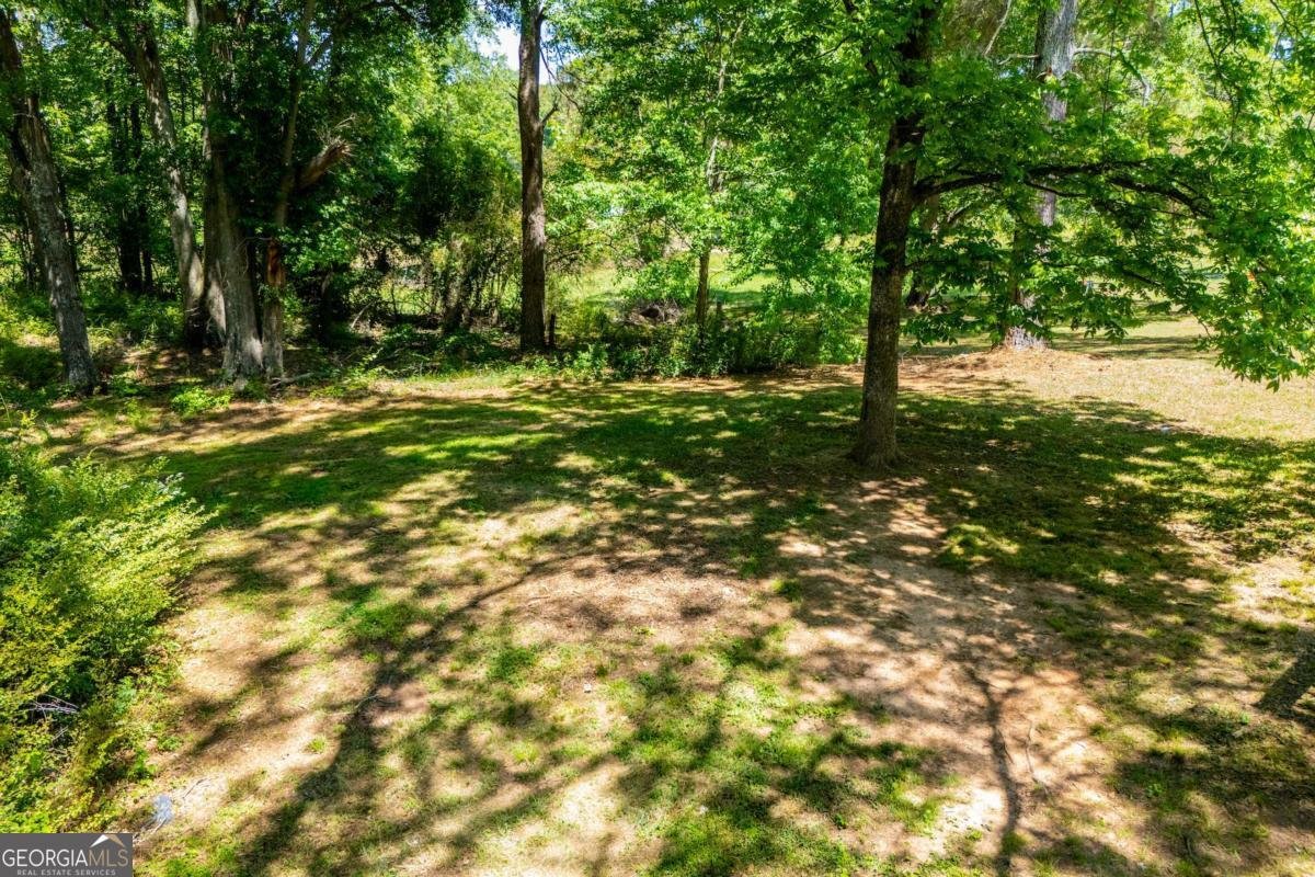801 Bowdon Tyus Road Bowdon - Photo 56
