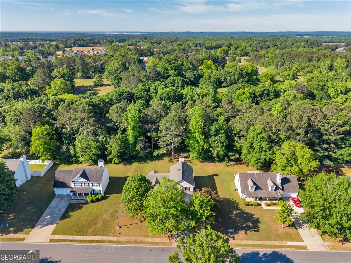 417 Grove Park Drive Locust Grove - Photo 52